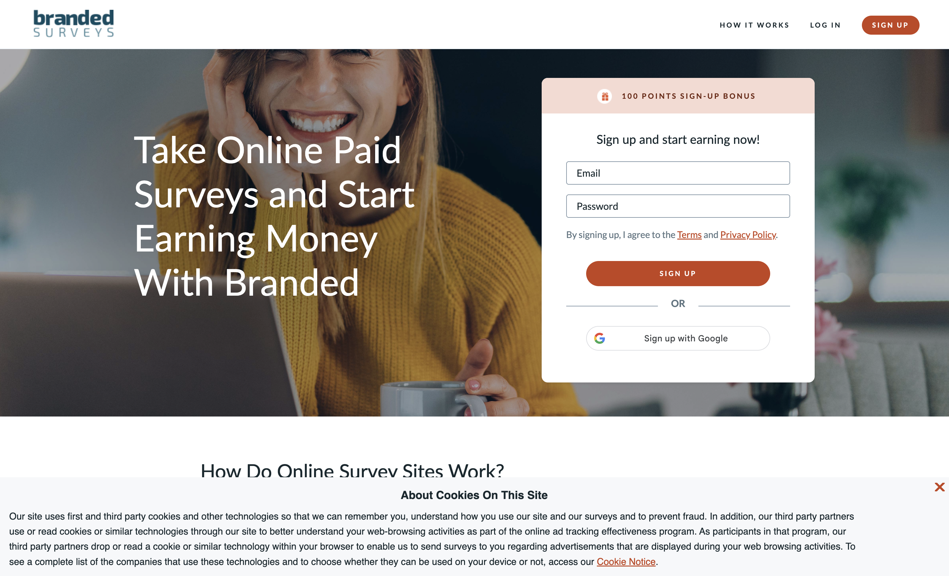 Branded Surveys platform preview