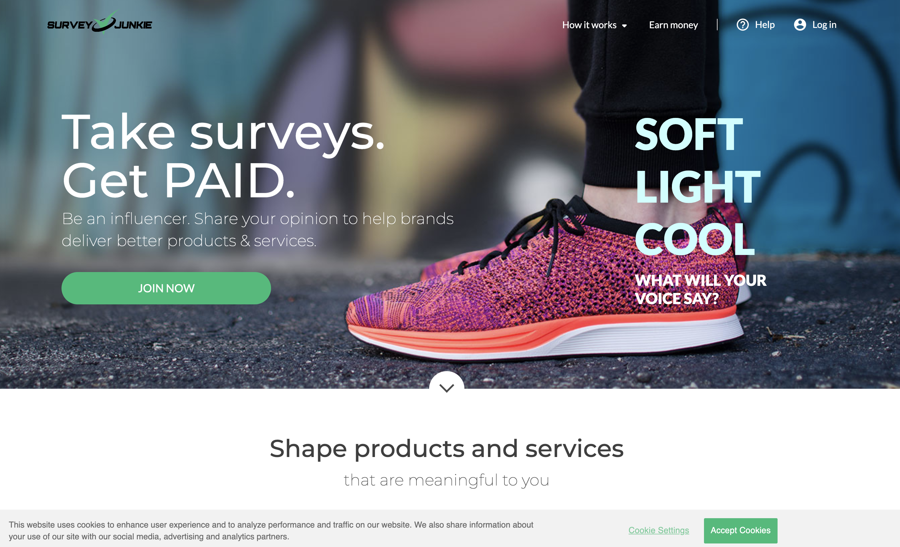 Survey Junkie platform preview